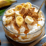 The Best Biscoff Banana Pudding with Caramel