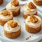 Vegan No-Bake Biscoff Cheesecake Bites