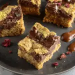 Starbucks Oat and Fudge Bars