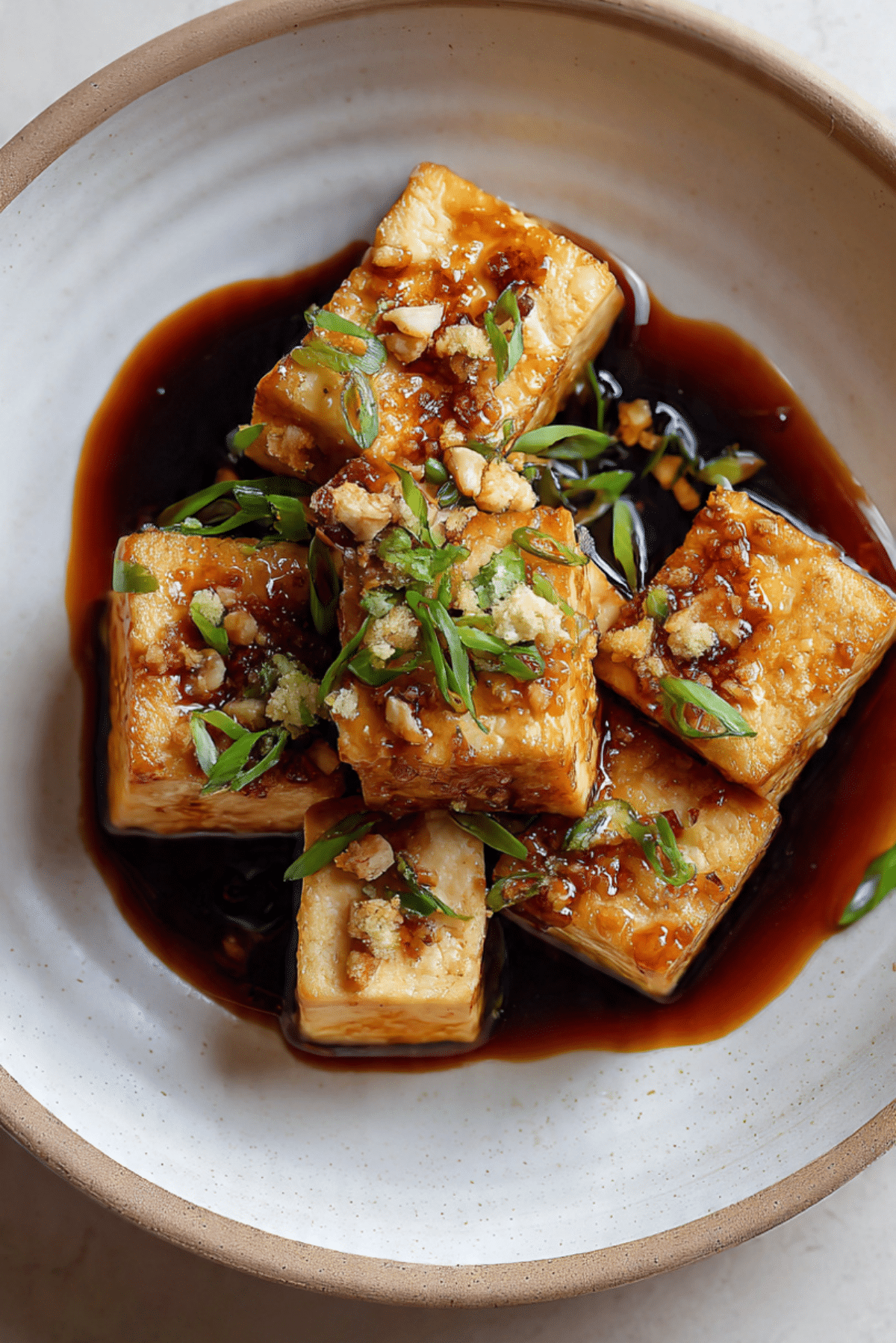 Braised Tofu (Hong Shao Dou Fu)