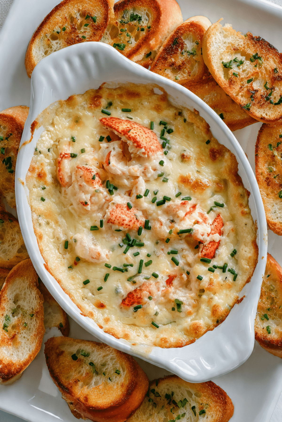 Creamy Lobster Tails and Fontina Dip with Garlic Rubbed Crostini