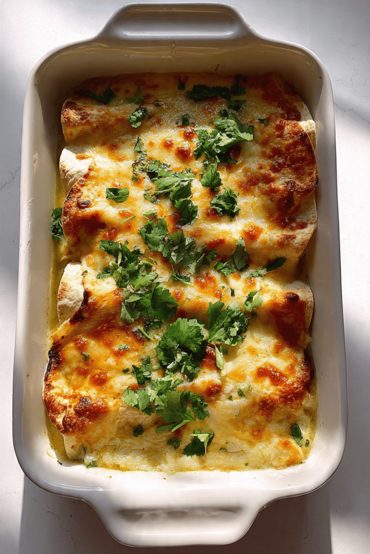 Cheesy Chicken Enchiladas