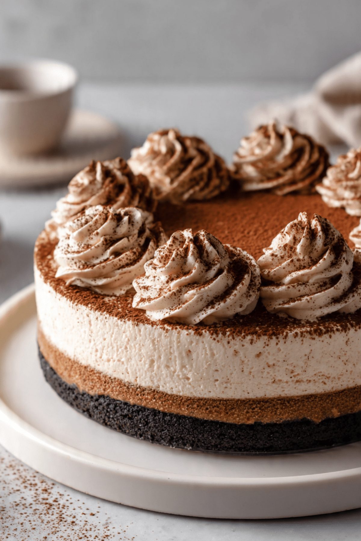 French Silk Tiramisu