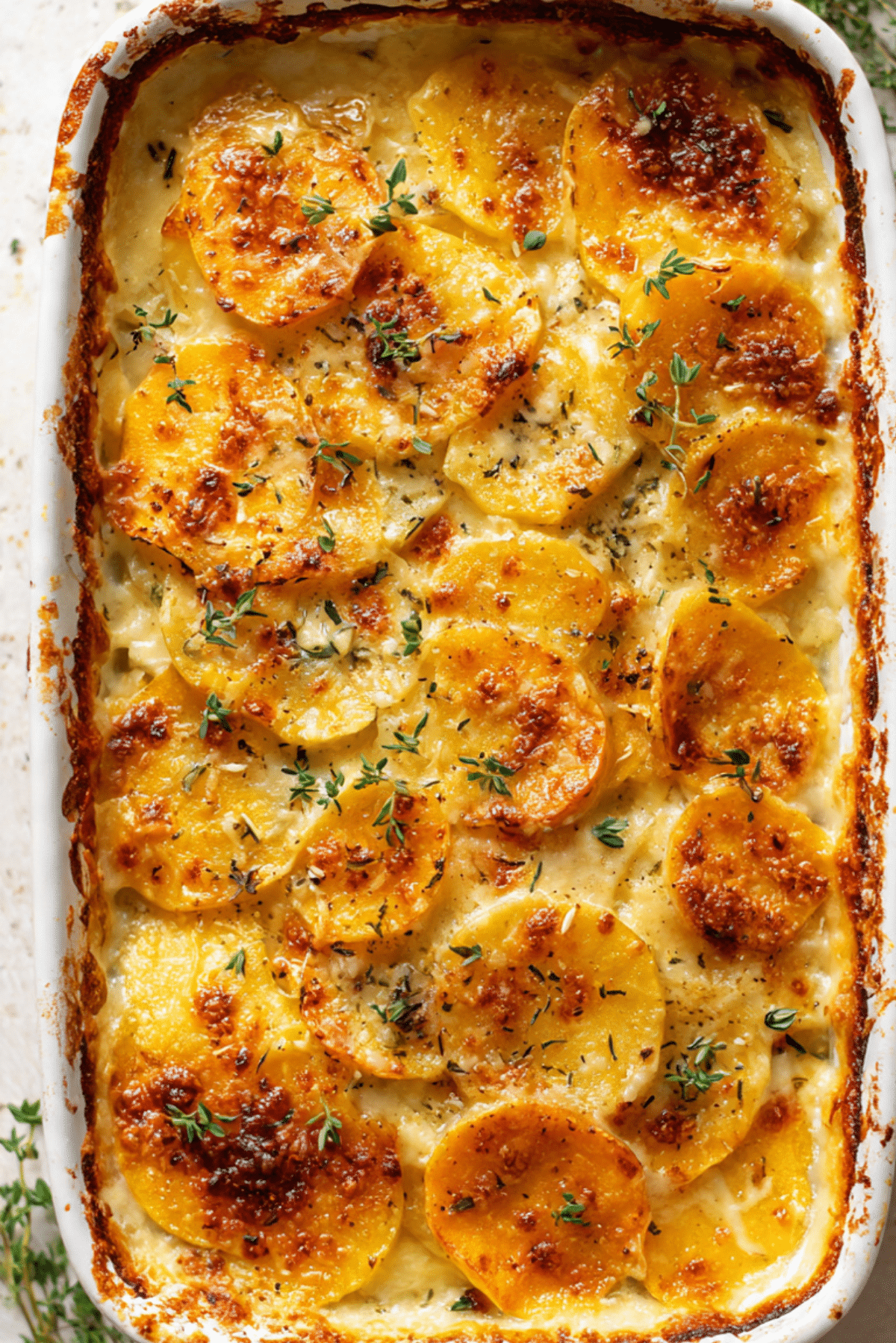 Scalloped Yukon Gold and Sweet Potato Gratin