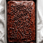 Chocolate Chip Sheet Cake